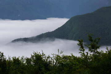 forêts de nuages du Tuskestan (nord de l'Iran)
