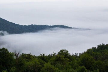 forêts de nuages du Tuskestan (nord de l'Iran)