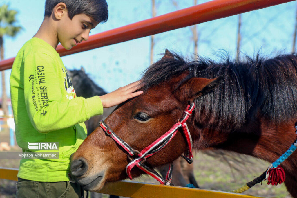 cheval caspien iranien