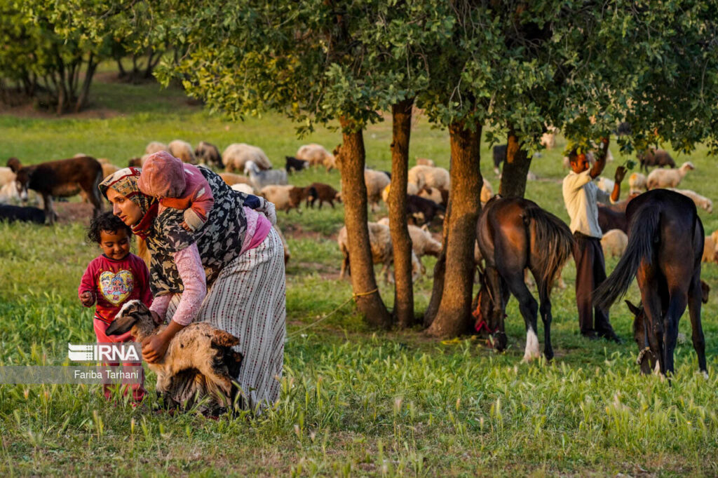 famille de Laki nomades du Lorestan en Iran