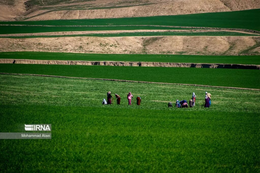 plaines de Torkaman Sahra nord-est de l’Iran