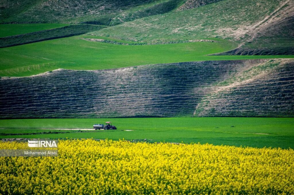 agriculture plaines de Torkaman Sahra nord-est de l’Iran