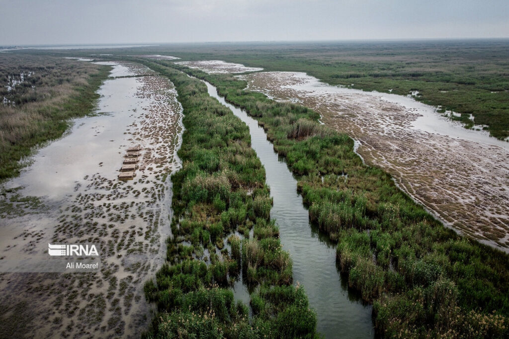 Shadegan zone humide Khouzestan Iran