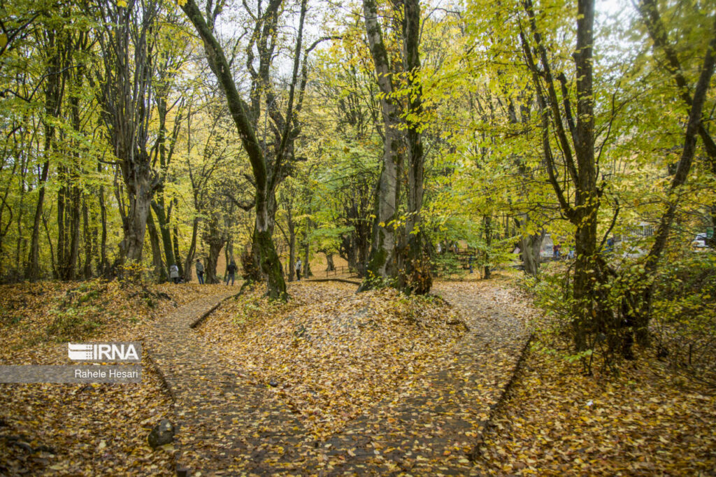 parc forestier d'Alangdareh en automne