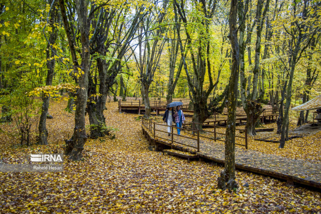 parc forestier Alangdareh (Iran)